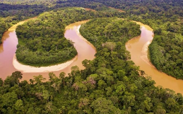 Travelling The Majestic Amazon River