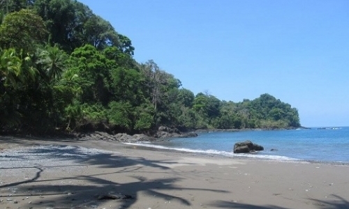 Biological Station Volunteer