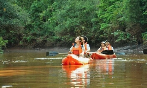 Volunteer at Eco-lodge Close to Iguazu Falls