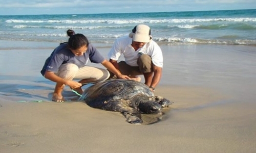 Galapagos National Park Service