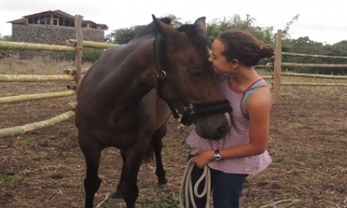 Help the Horses on the Galapagos Islands