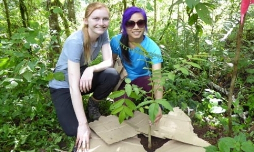 Nature Reserve Volunteer