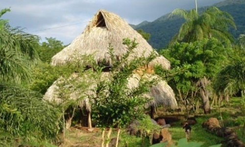 Permaculture Farm & Hostel