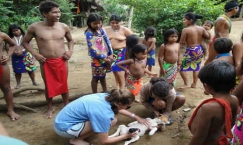 Student Veterinarian Program