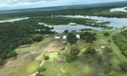 Teach English in the Brazilian Pantanal