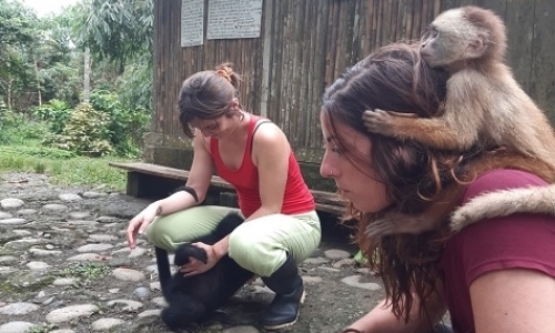 Volunteering At A Wildlife Refuge In Manu National Park